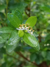 Load image into Gallery viewer, Rose Ring