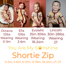 Load image into Gallery viewer, You Are My Sunshine - Shortie Zip
